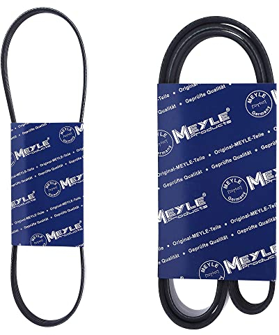 2x MEYLE Keilrippenriemen