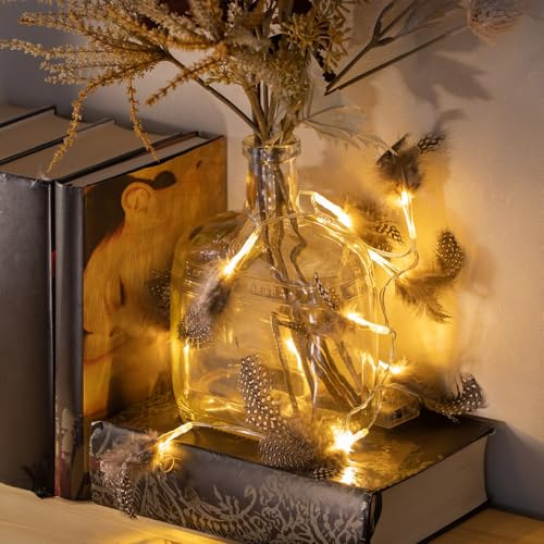com-four® 2x Lampes de fée à DEL avec plumes - Lampes de fée à piles avec éclairage à DEL - Éclairage décoratif avec plumes de caille pour Noël (02 pièces - plumes de guirlandes lumineuses)