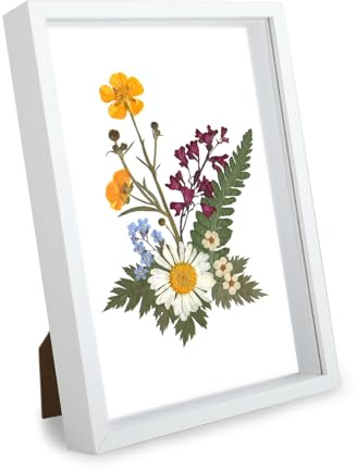 Kievano 3D-bildram för fyllning 31 x 29,7 cm – djup objektram av MDF-trä (3 cm djup) i vitt med plexiglas – gör-det-själv-ram för torkade blommor, konstverk Och minnessaker
