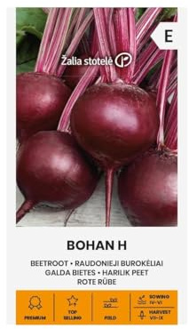 Zalia stotele | Remolacha roja - BOHAN H Semillas de huerto | Híbrida | Raíces redondas lisas | Pulpa rojo oscuro dulce | Larga conservación | Semillas para huerto y jardín | 1 sobre