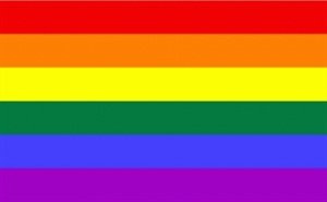 FRIP - Regenbogen Rainbow Fahne Flagge Grösse 1,50x2,50m XXL