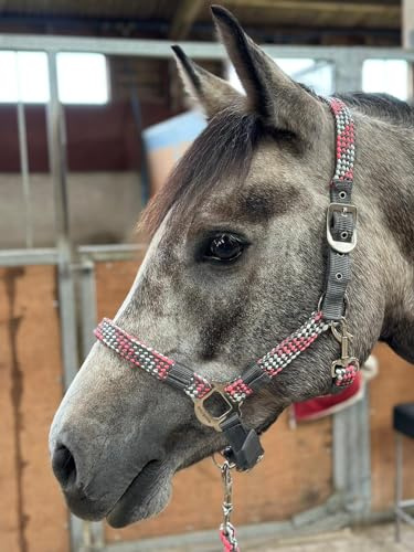 Equipride Geflochtenes Halfter Führstrick Set Größe Full-Shetland Pink/Grau (Pony)