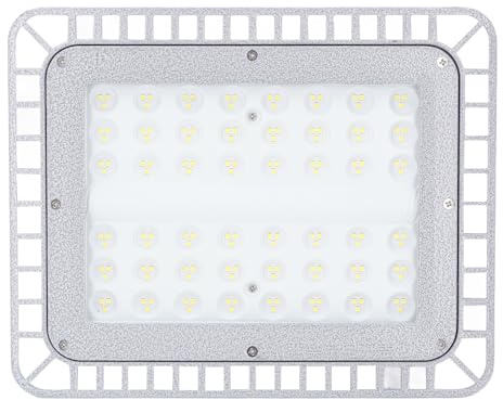 Fockety Explosionsgeschützte LED-Leuchte, 5000 K, 100 W, 12000 Lm, Lagerbeleuchtung, LED-Arbeitsleuchte, Außenstrahler für Spielplatz, Hof, Stadion, Rasen