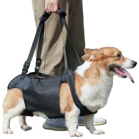 La pettorina per cani CeyKvo con sollevatore per gambe posteriori e supporto per fianchi e manici offre sicurezza per cani disabili, feriti o anziani. Adatto per cani da 4 a 11 kg.