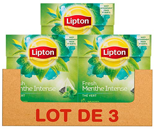 Lipton Thé Vert Menthe Intense, Goût Intensément Frais & Subtil, Label Rainforest Alliance, 60 Sachets, Lot de 3x20 Sachets
