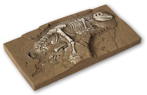 NOCH Dinosaurier T-Rex Ausgrabung, Fertigmodell in Grautönen, 13,5 x 6,8 cm für die Spurweiten H0, TT, N ideal für Modellbau