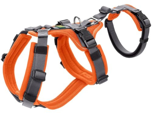 Sicherheitsgeschirr Maldon Farbe orange/grau, Größe XS-S