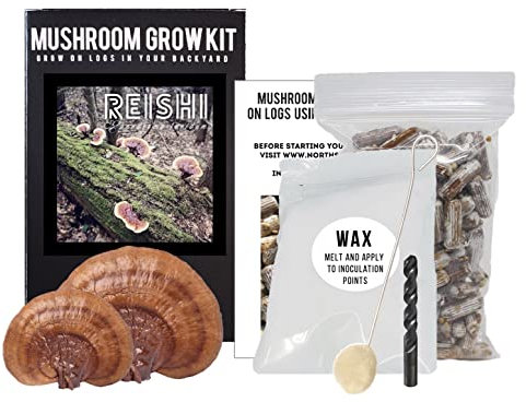 North Spore Reishi Pilzlog Kit, Outdoor DIY Pilz Kit, Easy & Fun Wellness Hobby, Enthält 100 Pilzstecker für Holzscheite, Made in USA, Pilze für Tee & Tinkturen, Heilpilze