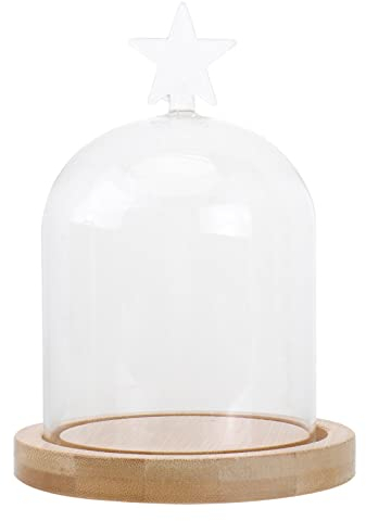PartyKindom Glass Cloche Dome Display, DIY Eternal Rose Glass Display Cover, Preserved Flowers Glass Dome, Antique Glass Cloche Glass Cover for Dried Perpetual Flower (Top Shape Style Random)