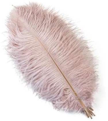 10 Stück Straußenfedern für Handarbeit, Kunsthandwerk, Dekoration, Karneval, Hochzeit, Party, Tischdekoration, Heimdekoration, 11 Leder, Rosa, 50–55 cm, 20–22 Zoll