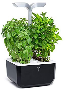 Véritable Potager de Cuisine - Exky Smart Soft Black