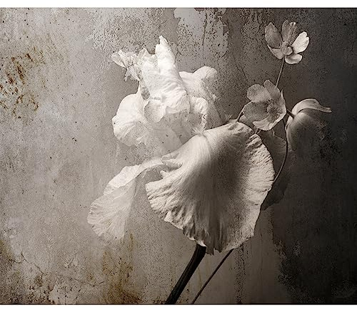murando Fototapete Premium-Vlies Blumen 500x350cm Foto Tapete Schlafzimmer Wohnzimmer Moderne Vliestapete XXL Wandtapete Motivtapeten Bildtapete 3d Effekt Wand Dekoration Retro Vintage Betonoptik grau