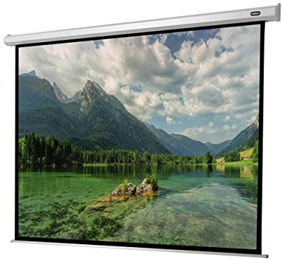 Celexon Leinwand Motor Economy 300 x 225 cm