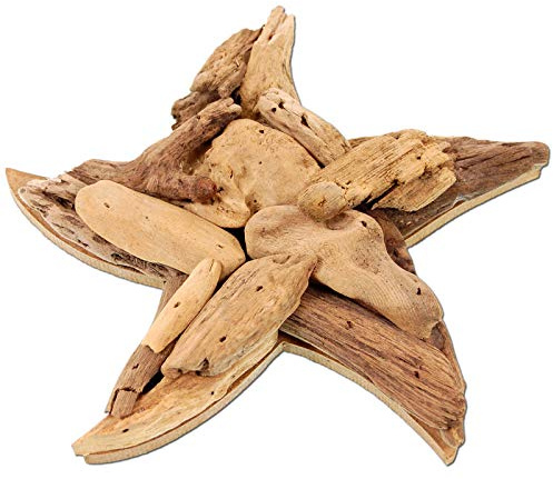 SEESTERN Treibholz Deko mit Seestern (20 cm) Motiv Wanddeko Driftwood Holzdeko /1433