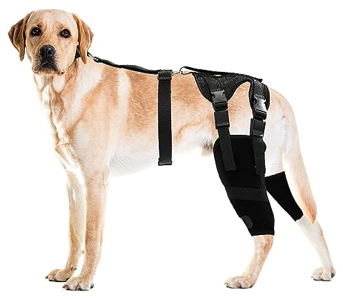 HUAME Doppelte Kniebandage für Hunde, Unterstützung für gerissenes ACL-Hinterbein, Luxating Patella, lindert Arthritis-Schmerzen und Entzündungen, mit seitlichen Stabilisatoren, Geschirr und