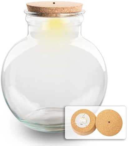 Terrarium mit Kork – Teddy mit LED Kork – ↑ 26,5 cm