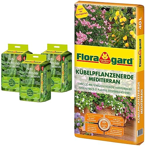Floragard Aktiv-Grünpflanzen- und Palmenerde 3x20 L • Spezialerde für Palmen & Kübelpflanzenerde mediterran 40 L - Spezialerde für große Kübel, Zitruspflanzen, Oleander, Oliven - auch für Dachgärten