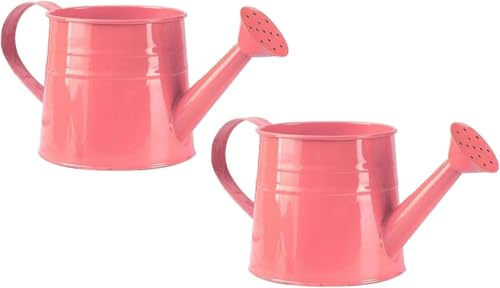 Petite arrosoir pour plantes d'intérieur 1L - Petite arrosoir en métal - Pot à fleurs - Arrosoir de jardin - Arrosoir vintage - Arrosoir pour plantes - Outil de jardin (2 pièces/Rose)