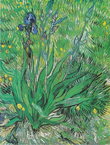 ZIMARO Leinwand Wandbild Kunstdruck Leinwand Malerei Poster Berühmt Iris von Vincent van Gogh für Flurdekoration 60x90cm