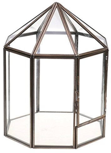 Tubayia Geometrisches Terrarium Box Sukkulente Blumentopf Pflanzgefäß Terrarien Kasten für Haus Garten