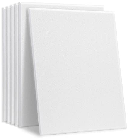 HyFanStr Schallabsorber Schalldämmung, Schall Dämmung für Tonstudio, Büro,Studio, Selbstklebende Hohe Dichte Akustikschaumstoff Schallschutz 30x40cm 6 Stück (White)