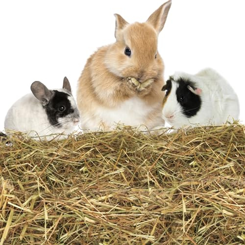 Nobleza - (2 * 1kg Kaninchen Wiesenhe, Hauptfutter für Hasen mit Gemüse, Natürliches Nagerfutterlebenswichtigen, Futter für Meerschweinchen, Vitaminen und Mineralien