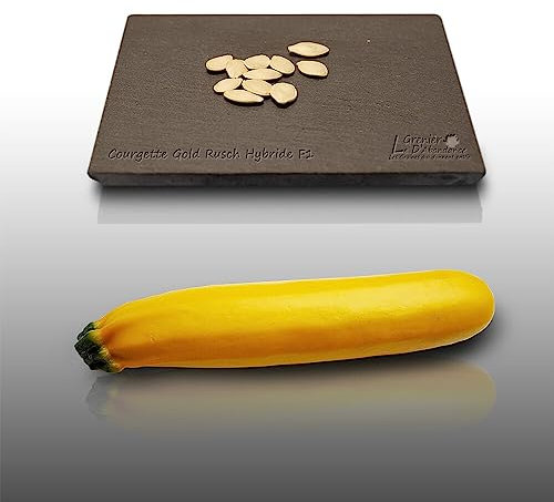 10 graines à semer - Le Grenier d'Abondance - COURGETTE Gold Rush Hybride F1 - Cucurbita Pepo