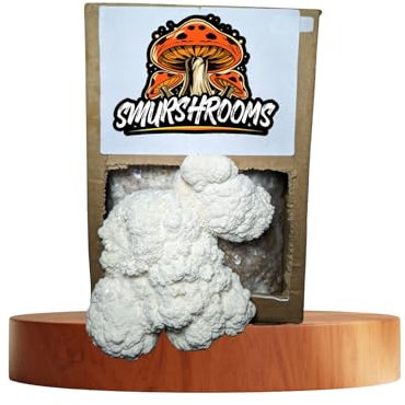 Lions Mane Mushroom Grow Kit (Hericium erinaceus) - | Grow Your own |Fresh Mushrooms | Delicious with Soy Sauce | Lions Mane Supplement | Nutrition Geeks |1.8KG