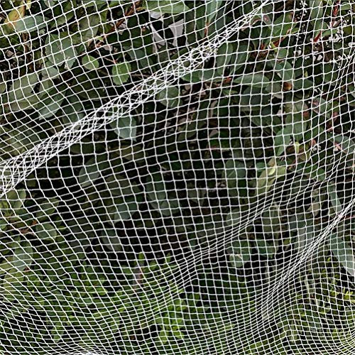 Dbtxwd Filet De Protection du Jardin pour La Protection des Plantes Filet De La Moustiquaire pour La Lutte Contre Les Nuisibles,White5x5m
