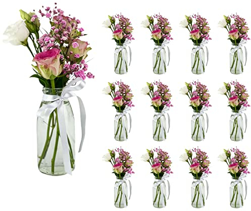 casavetro 12 x Glasfläschchen im Landhausstil Flasche Vase mit weiß Schleife Tischvasen Glasflaschen Dekoflaschen Väschen Vasen Glasvasen (12 x 250 ml-Milch -Vase+WS)