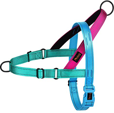 Didog No Pull Dog Harness for Medium Dogs, Soft Padded Handle, Blue, M