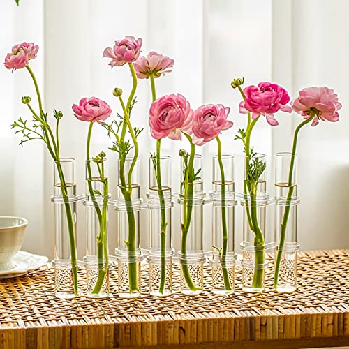 Aufklappbare Glasvase,Reagenzglas-Vase Für Blumen, Hydrokultur-Reagenzglasvase,Glasvase Mit Ständer, Tube Bud Vase Für Blumen Pflanzen Home Decor Transparent