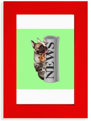 Rollo de periódico Pet Group Art Deco Fashion Picture Display Art Red Photo Frame