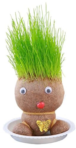 Grass Head Doll Plant,grass heads for kids to grow,cress seeds, Desktop Green Plants Mi-ni Bonsai Pots with Tray,Growing Tray, Desktop Ornaments Decoration Or Plants Potted for Children