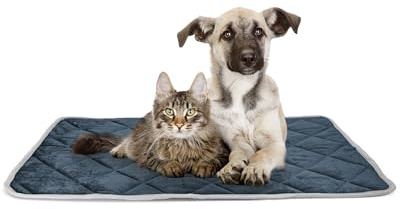 Record - Thermische Haustiermatte mit gesteppter Oberfläche, reflektierendem Material, wasserdicht und rutschfest. Idealer Teppich für Hundehütten, Transportboxen und Reisen | 50 x 90 cm