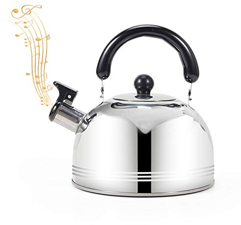 Flötenkessel Wasserkessel,Gas Wasserkocher 2/3L Wasserkessel aus rostfreiem Edelstahl mit Griff Teekessel,Edelstahl Flötenkessel für viele Herdarten, Grill, Camping Gasbrenner und offenes Feuer (2 L)