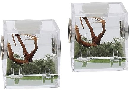 minkissy 2stücke Acryl Zuchtbox Für Springspinnen Robustes Terrarium Mit Belüftung Transparentes Behältnis Für Spinnen Und Insekten Optimale Haltung Für