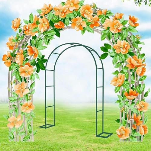 Arche de jardin blanc/noir pour plantes grimpantes et roses - Utilisation en intérieur/extérieur - Treillage en métal durable - Vert - 1,2 m x 2,2 m (l x H)