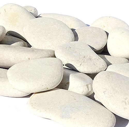 MGS SHOP Dekokies Zierkies Deko DIY Kies Granulat Splitt - Farbe wählbar (5 kg, cremeweiß 40-60)