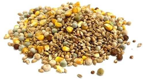Mixed Pigeon Corn 1kg Premium Quality Bird Food LJJ