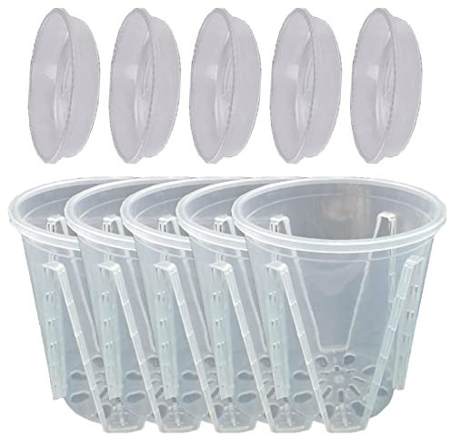 smashing Macetas para orquídeas para trasplantar - 5 macetas transparentes con agujeros de drenaje, macetas redondas para orquídeas, plantas de serpiente, menta, cactus