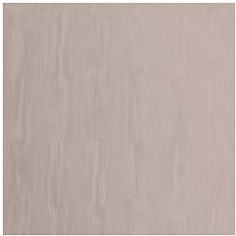 Vaessen Creative Florence Cardstock Papier, Beige, 216 Gramm/m², Quadratisch, 30,5 x 30,5 cm, 20 Stück, Textur, für Scrapbooking, Kartenherstellung, Stanzen und andere Papierbasteleien