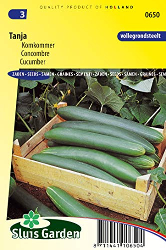 Concombre Tanja - Légumes ou plantes à fruit
