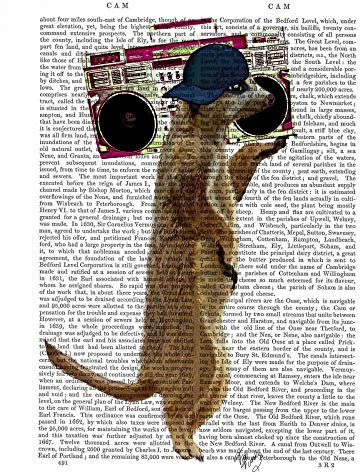 KUNSTDRUCK auf GEROLLTE LEINWAND Meerkat mit Boom Box Ghetto Blaster Fab Funky - Tiere vertikale Leinwandbilder auf 380gr 100% baumwolle cm_71_X_55
