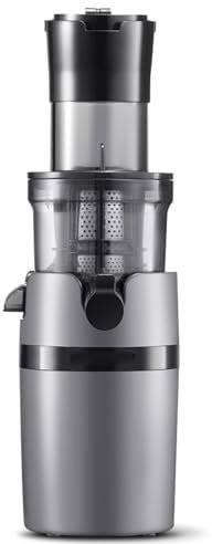 Spremiagrumi Professionale a Freddo, Spremiagrumi a Masticazione Lenta Da 200 W Con Ampio Scivolo Di Alimentazione Da 90 Mm, Spremiagrumi Portatile Per Separazione Delle Vinacce, Per Mele, Arance