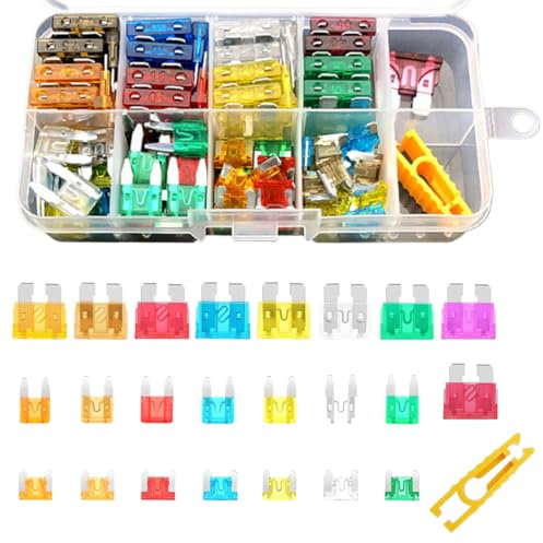 ZEPIQOR 100 Piezas fusibles coche, 12V-24V Surtido Fusibles Coche Auto Fusibles de Cuchilla Estándar para Automóvil Camion Moto o Barco (5A/7,5A/10A/15A/20A/25A/30A)