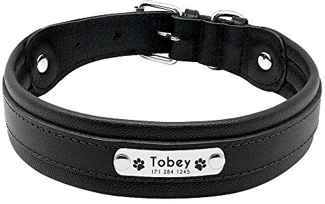 aplusashop ID Echtleder Halsband mit Edelstahlplatte + Gravur nach Wunsch Hund in 6 Farben M L XL (Schwarz M 30-42 cm)