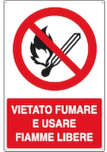 NEW CARTELLO SEGNALETICO - vietato fumare e usare fiamme libere - Adesivo Extra Resistente, Pannello in Forex, Pannello In Alluminio (PANNELLO IN ALLUMINIO 20X31 CM)