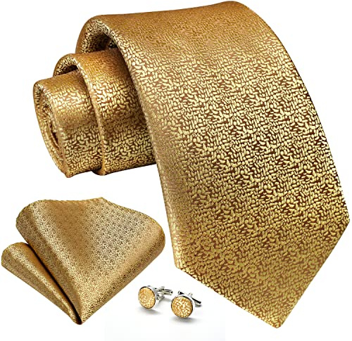 Enlision Cravatta Uomo Oro Cravatta con Fazzoletto Seta Cravatta Set