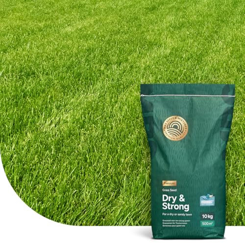 Dry & Strong : Gazon résistant à la sécheresse - 10 kg pour 500 m² - Gazon de qualité supérieure pour terrains secs - Économisez de l'eau et de l'argent - Avec Revêtement Hydroboost™